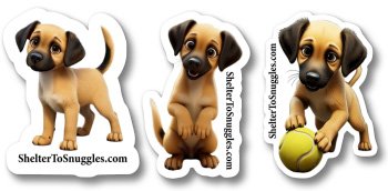 Karma Rose - From Shelter to Snuggles: Journey One - Image 6